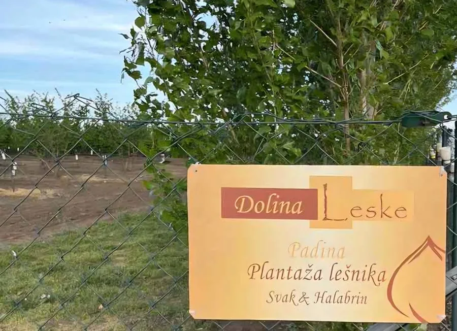 Ulazna tabla — Dolina Leske, Padina